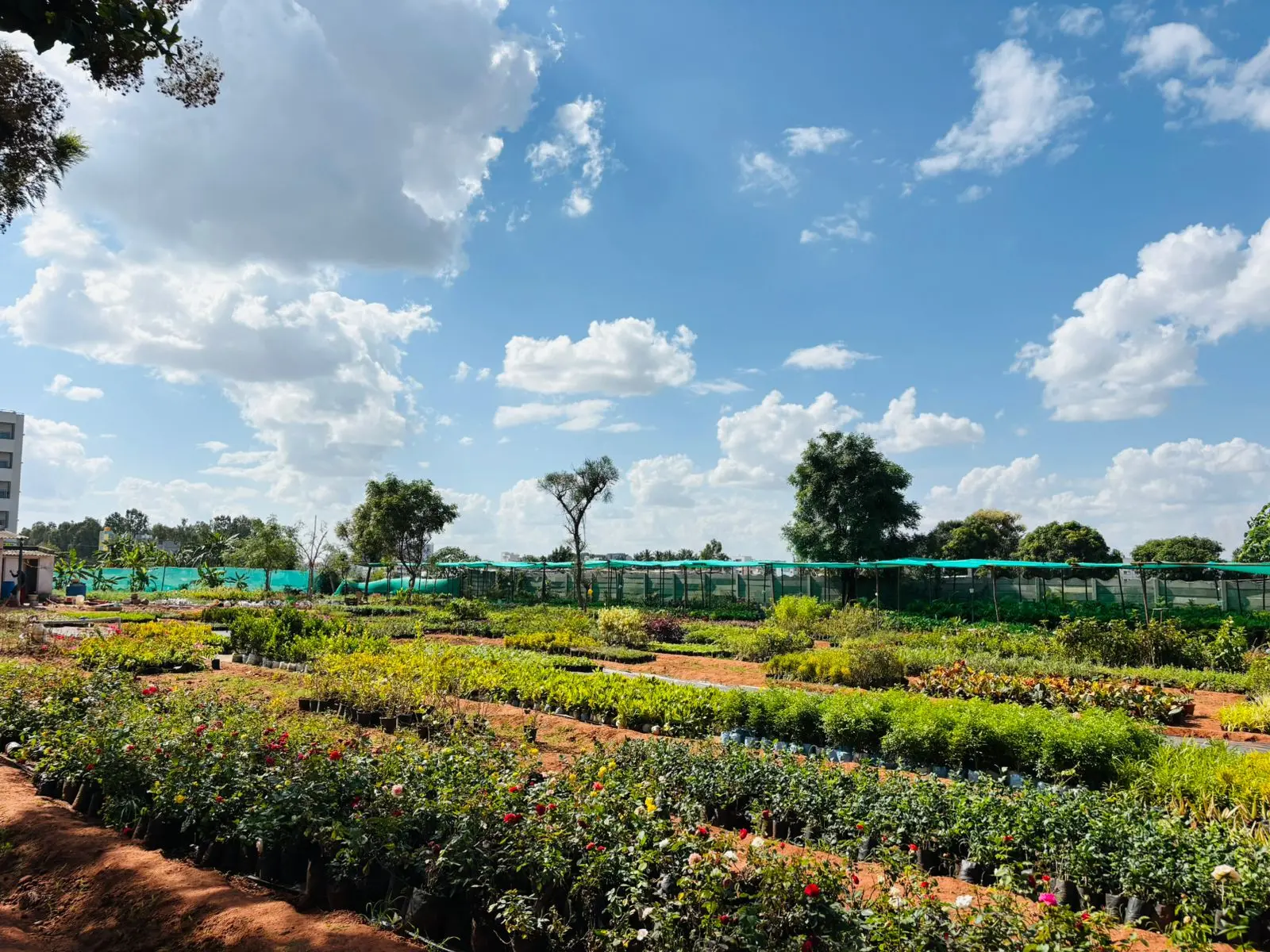 Thanisandra Farm